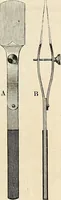 An illustration from Das mikroskop : Theorie, gebrauch, geschichte und gegenwärtiger zustand desselben (1866)