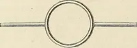 An illustration from Das mikroskop : Theorie, gebrauch, geschichte und gegenwärtiger zustand desselben (1866)
