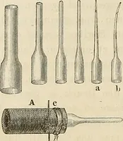 An illustration from Das mikroskop : Theorie, gebrauch, geschichte und gegenwärtiger zustand desselben (1866)
