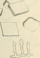 An illustration from Das mikroskop : Theorie, gebrauch, geschichte und gegenwärtiger zustand desselben (1866)