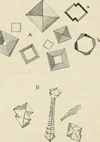 An illustration from Das mikroskop : Theorie, gebrauch, geschichte und gegenwärtiger zustand desselben (1866)