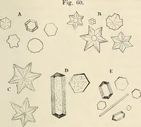 An illustration from Das mikroskop : Theorie, gebrauch, geschichte und gegenwärtiger zustand desselben (1866)