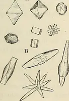 An illustration from Das mikroskop : Theorie, gebrauch, geschichte und gegenwärtiger zustand desselben (1866)