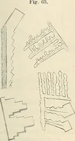 An illustration from Das mikroskop : Theorie, gebrauch, geschichte und gegenwärtiger zustand desselben (1866)