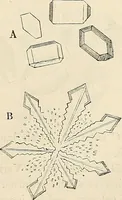 An illustration from Das mikroskop : Theorie, gebrauch, geschichte und gegenwärtiger zustand desselben (1866)