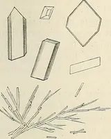 Picture 103 of 290 from Das mikroskop : Theorie, gebrauch, geschichte und gegenwärtiger zustand desselben (1866), leaf 552