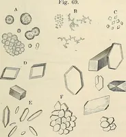 An illustration from Das mikroskop : Theorie, gebrauch, geschichte und gegenwärtiger zustand desselben (1866)
