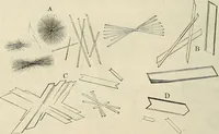 An illustration from Das mikroskop : Theorie, gebrauch, geschichte und gegenwärtiger zustand desselben (1866)