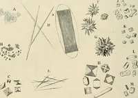 An illustration from Das mikroskop : Theorie, gebrauch, geschichte und gegenwärtiger zustand desselben (1866)