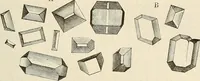 An illustration from Das mikroskop : Theorie, gebrauch, geschichte und gegenwärtiger zustand desselben (1866)