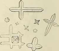 An illustration from Das mikroskop : Theorie, gebrauch, geschichte und gegenwärtiger zustand desselben (1866)