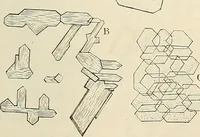 An illustration from Das mikroskop : Theorie, gebrauch, geschichte und gegenwärtiger zustand desselben (1866)
