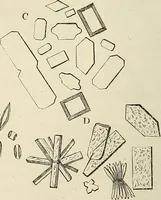 An illustration from Das mikroskop : Theorie, gebrauch, geschichte und gegenwärtiger zustand desselben (1866)