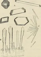 An illustration from Das mikroskop : Theorie, gebrauch, geschichte und gegenwärtiger zustand desselben (1866)