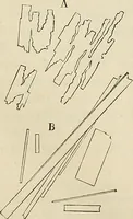 An illustration from Das mikroskop : Theorie, gebrauch, geschichte und gegenwärtiger zustand desselben (1866)