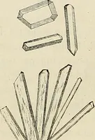 An illustration from Das mikroskop : Theorie, gebrauch, geschichte und gegenwärtiger zustand desselben (1866)