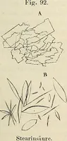 Picture 124 of 290 from Das mikroskop : Theorie, gebrauch, geschichte und gegenwärtiger zustand desselben (1866), leaf 566