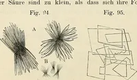 Picture 126 of 290 from Das mikroskop : Theorie, gebrauch, geschichte und gegenwärtiger zustand desselben (1866), leaf 567