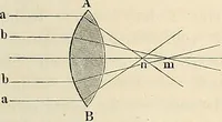 An illustration from Das mikroskop : Theorie, gebrauch, geschichte und gegenwärtiger zustand desselben (1866)