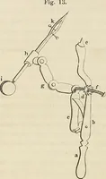 An illustration from Das mikroskop : Theorie, gebrauch, geschichte und gegenwärtiger zustand desselben (1866)