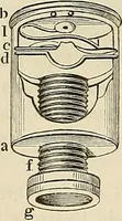 An illustration from Das mikroskop : Theorie, gebrauch, geschichte und gegenwärtiger zustand desselben (1866)