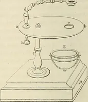 An illustration from Das mikroskop : Theorie, gebrauch, geschichte und gegenwärtiger zustand desselben (1866)