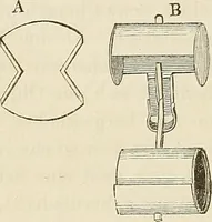 An illustration from Das mikroskop : Theorie, gebrauch, geschichte und gegenwärtiger zustand desselben (1866)