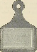An illustration from Das mikroskop : Theorie, gebrauch, geschichte und gegenwärtiger zustand desselben (1866)
