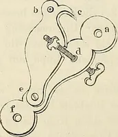 An illustration from Das mikroskop : Theorie, gebrauch, geschichte und gegenwärtiger zustand desselben (1866)