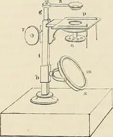 An illustration from Das mikroskop : Theorie, gebrauch, geschichte und gegenwärtiger zustand desselben (1866)