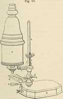 An illustration from Das mikroskop : Theorie, gebrauch, geschichte und gegenwärtiger zustand desselben (1866)