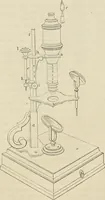 An illustration from Das mikroskop : Theorie, gebrauch, geschichte und gegenwärtiger zustand desselben (1866)