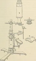 An illustration from Das mikroskop : Theorie, gebrauch, geschichte und gegenwärtiger zustand desselben (1866)