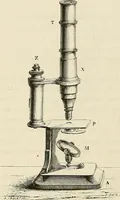 An illustration from Das mikroskop : Theorie, gebrauch, geschichte und gegenwärtiger zustand desselben (1866)