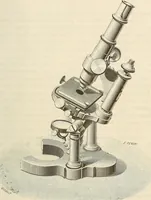 An illustration from Das mikroskop : Theorie, gebrauch, geschichte und gegenwärtiger zustand desselben (1866)