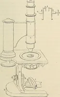 An illustration from Das mikroskop : Theorie, gebrauch, geschichte und gegenwärtiger zustand desselben (1866)