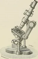 An illustration from Das mikroskop : Theorie, gebrauch, geschichte und gegenwärtiger zustand desselben (1866)
