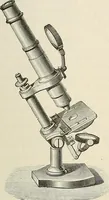 An illustration from Das mikroskop : Theorie, gebrauch, geschichte und gegenwärtiger zustand desselben (1866)