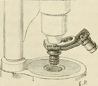 An illustration from Das mikroskop : Theorie, gebrauch, geschichte und gegenwärtiger zustand desselben (1866)