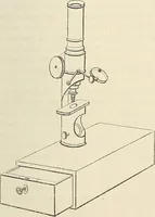 An illustration from Das mikroskop : Theorie, gebrauch, geschichte und gegenwärtiger zustand desselben (1866)