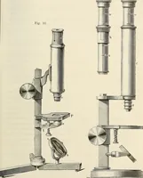 An illustration from Das mikroskop : Theorie, gebrauch, geschichte und gegenwärtiger zustand desselben (1866)
