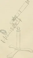 An illustration from Das mikroskop : Theorie, gebrauch, geschichte und gegenwärtiger zustand desselben (1866)