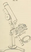 An illustration from Das mikroskop : Theorie, gebrauch, geschichte und gegenwärtiger zustand desselben (1866)
