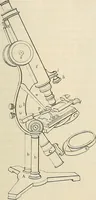 An illustration from Das mikroskop : Theorie, gebrauch, geschichte und gegenwärtiger zustand desselben (1866)