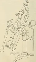 An illustration from Das mikroskop : Theorie, gebrauch, geschichte und gegenwärtiger zustand desselben (1866)