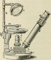 An illustration from Das mikroskop : Theorie, gebrauch, geschichte und gegenwärtiger zustand desselben (1866)