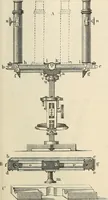 An illustration from Das mikroskop : Theorie, gebrauch, geschichte und gegenwärtiger zustand desselben (1866)