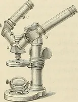 An illustration from Das mikroskop : Theorie, gebrauch, geschichte und gegenwärtiger zustand desselben (1866)