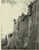 An illustration from Das moderne Landhaus : ein Beitrag zur neuen Baukunst (1905)