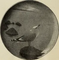 An illustration from Das Porzellan (1902)